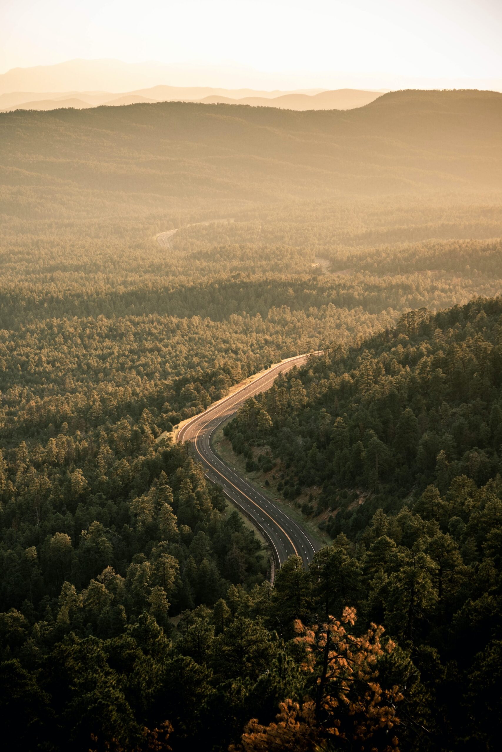route au milieu de la nature dans une lumière douce