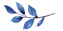 feuillagebleu